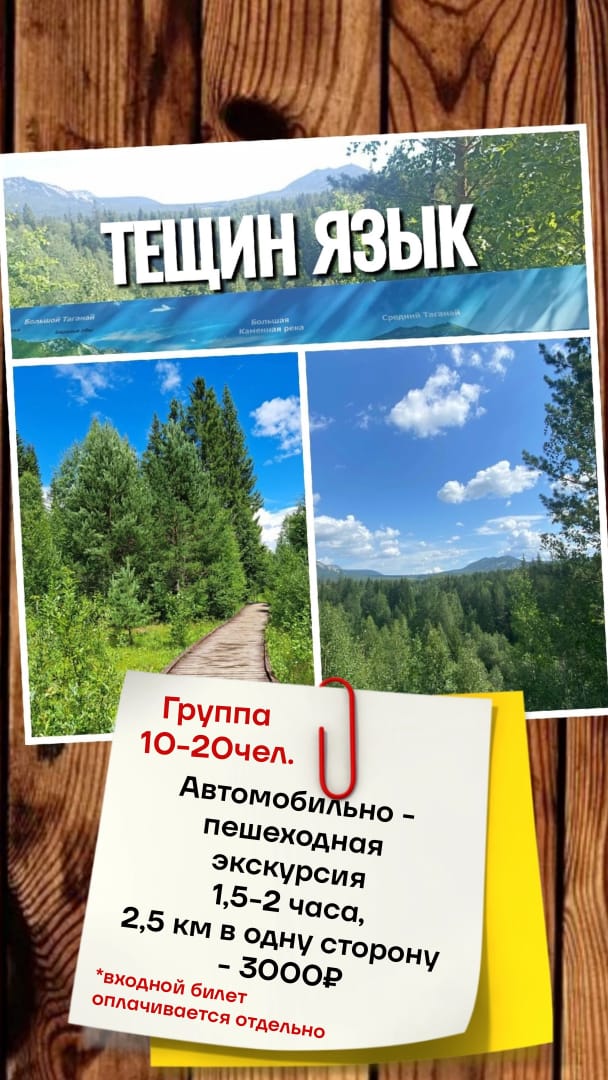 Тещин язык.
